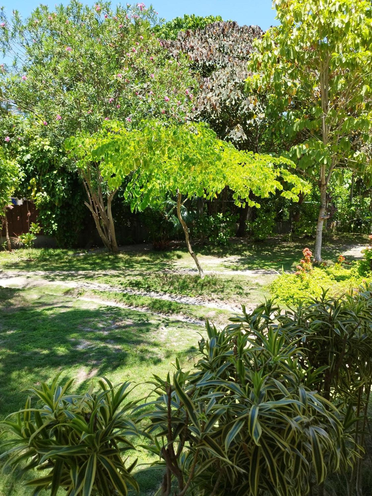 Celtis Resort Malapascua Exterior foto