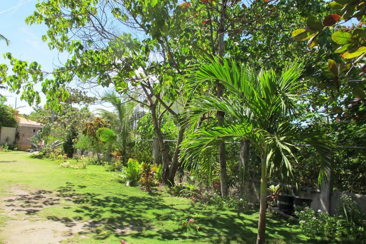Celtis Resort Malapascua Exterior foto